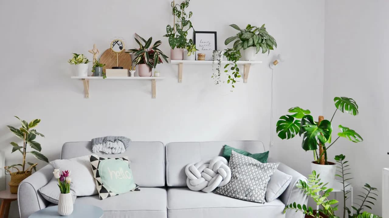 Jak stworzyć półkę na kwiaty DIY, która zachwyci każdego wnętrza